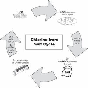 Read more about the article The Truth About Saltwater Pools