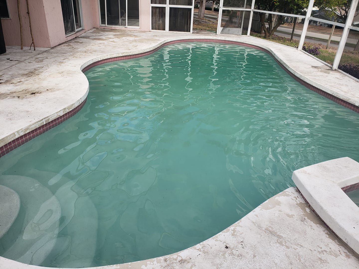 salt water pool cloudy and green