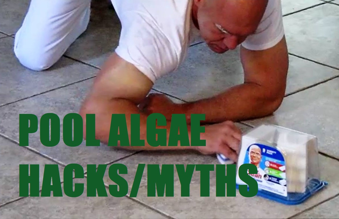 Read more about the article NEWS | Mr. Clean Algae Eraser