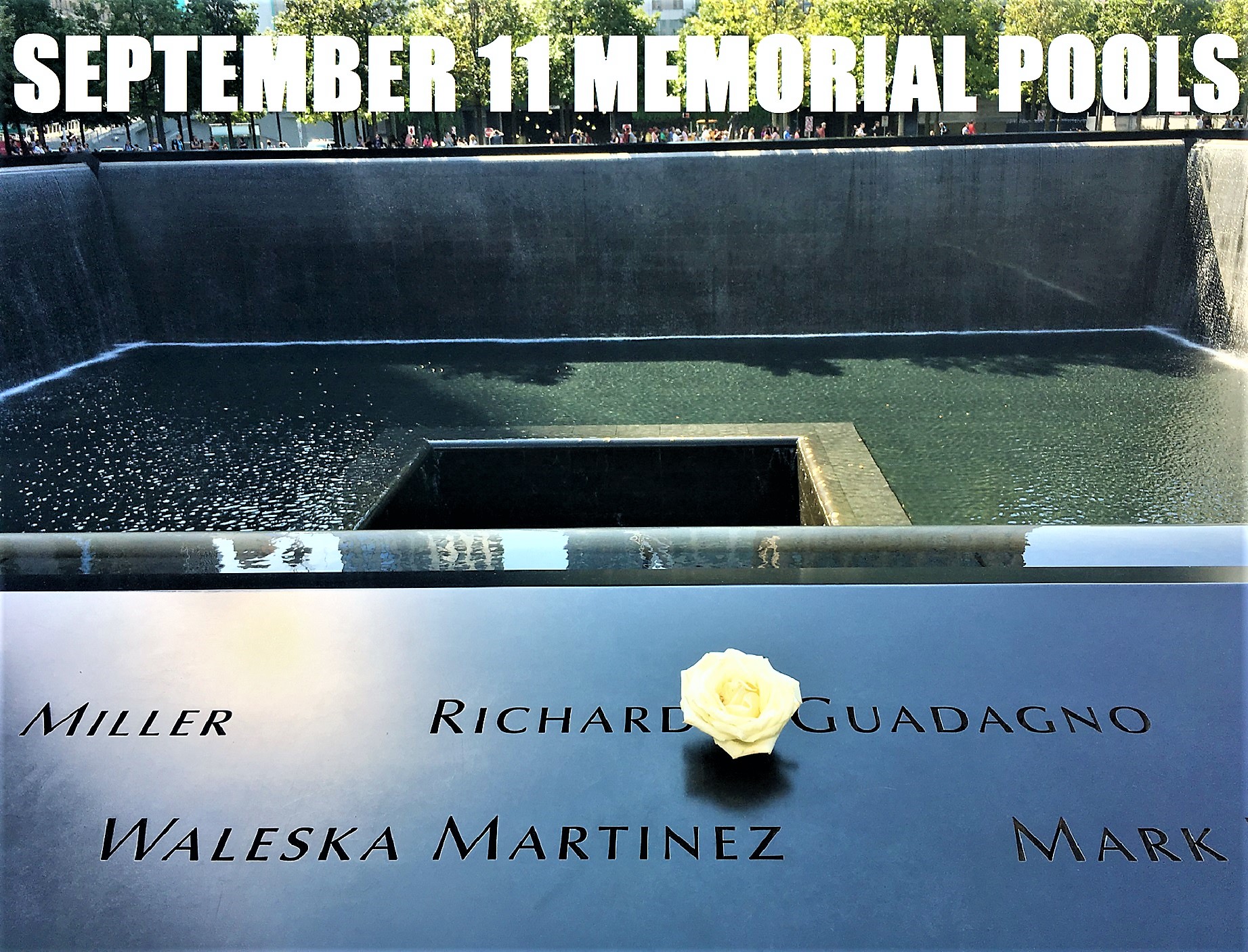 Read more about the article Journey to the 9/11 Memorial Pools