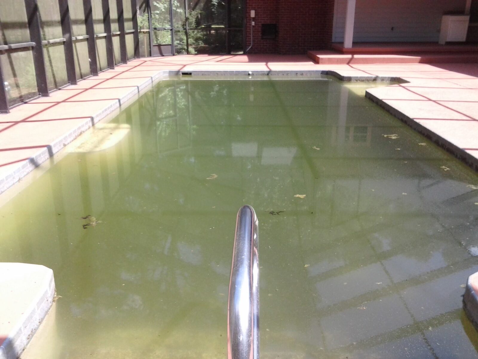 Get Rid of Green Algae Talking Pools Podcast News