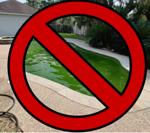 Read more about the article Jules’s Green Pool Algae Treatment Program