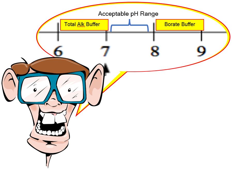 You are currently viewing How Borates in Swimming Pools  Buffer pH