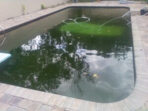 Read more about the article Badly Decomposed Body Found in Swimming Pool