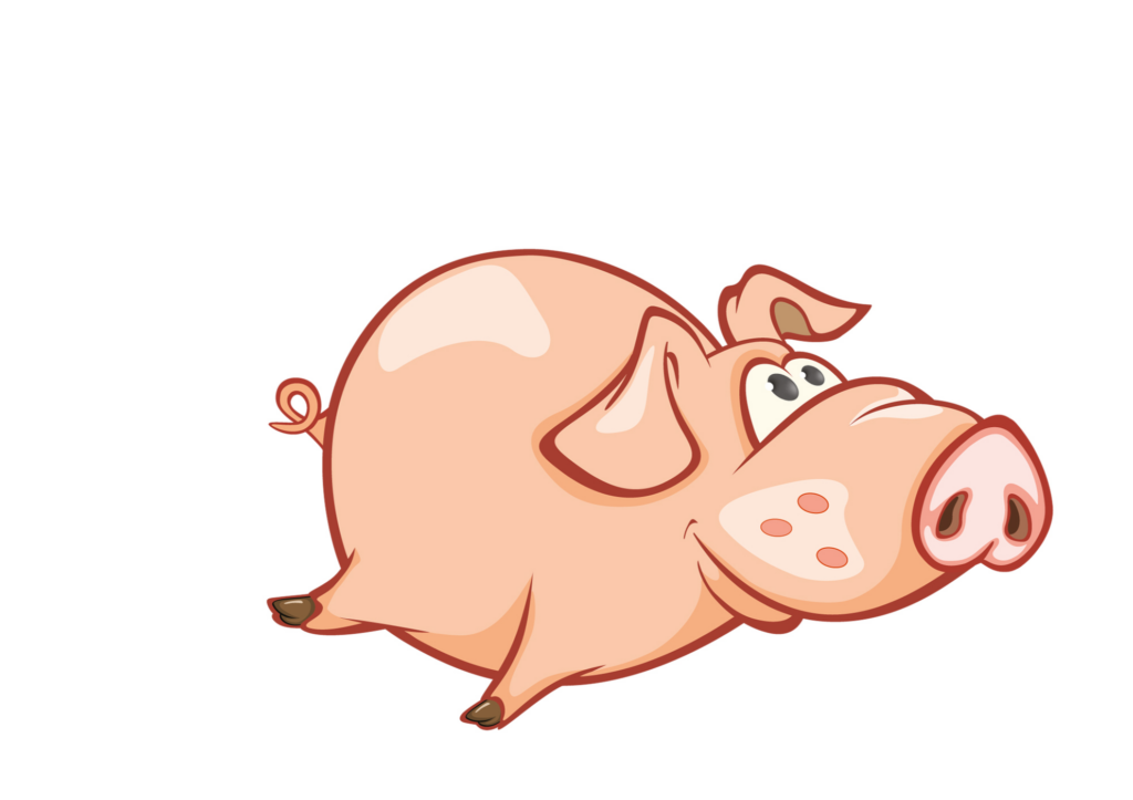Pig Tot children's book